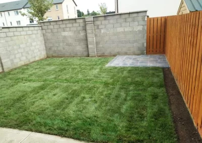 Natural Real Lawn